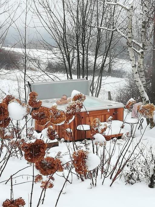 Gîte de charme pour couple avec sauna et jacuzzi extérieurs privatifs Peaugres Extérieur photo